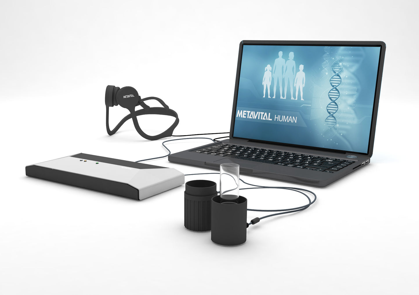 METAVITAL-Expert / BASIS-Scan